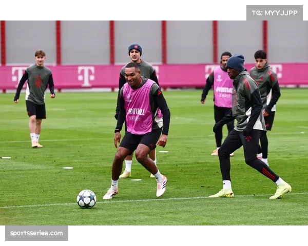 慕尼黑警方通报：已就欧冠比赛期间球迷冲突事件展开调查